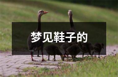 <h3>梦见鞋子的