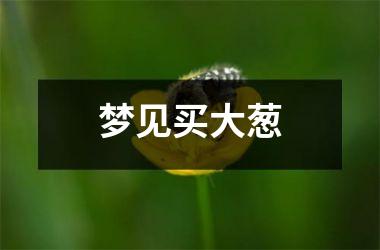 <h3>梦见买大葱