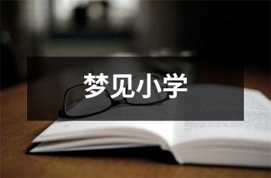 <h3>梦见小学