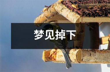 <h3>梦见掉下