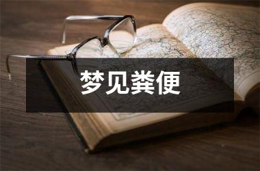 <h3>梦见粪便