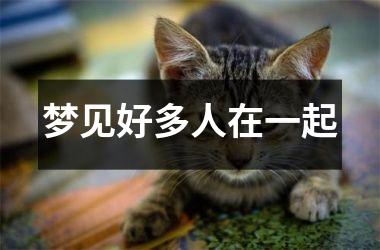<h3>梦见好多人在一起