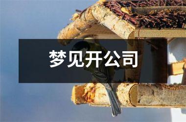 <h3>梦见开公司