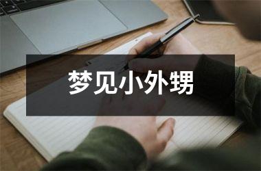 <h3>梦见小外甥