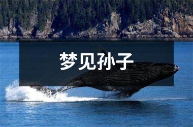 <h3>梦见孙子