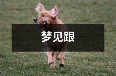 梦见跟