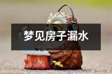 <h3>梦见房子漏水