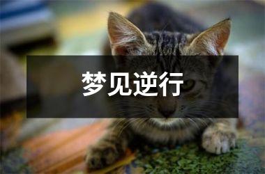 <h3>梦见逆行