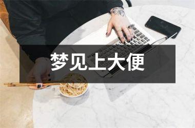 <h3>梦见上大便