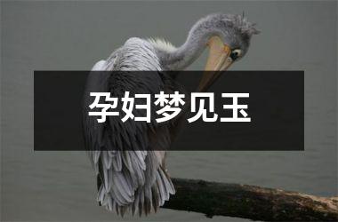 <h3>孕妇梦见玉
