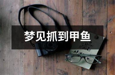 <h3>梦见抓到甲鱼