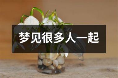 <h3>梦见很多人一起