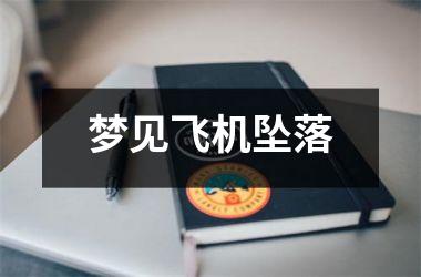 <h3>梦见飞机坠落