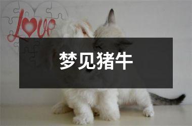 <h3>梦见猪牛