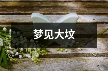 <h3>梦见大坟