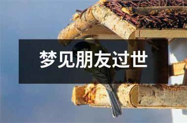 <h3>梦见朋友过世