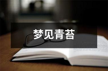 <h3>梦见青苔