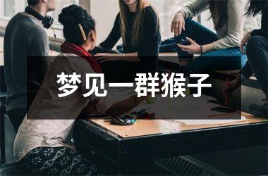 <h3>梦见一群猴子