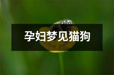 <h3>孕妇梦见猫狗