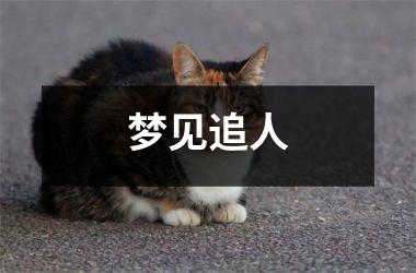 <h3>梦见追人