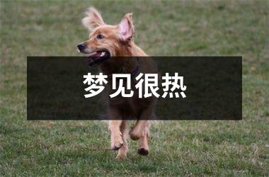 <h3>梦见很热