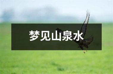 <h3>梦见山泉水