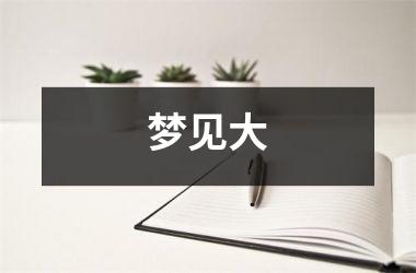 <h3>梦见大