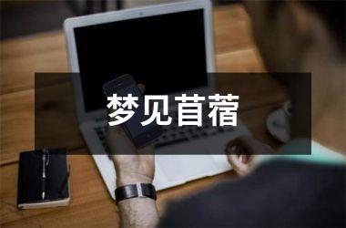<h3>梦见苜蓿