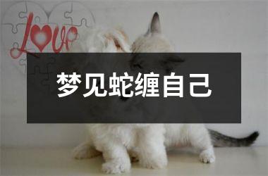 <h3>梦见蛇缠自己