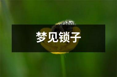 梦见锁子