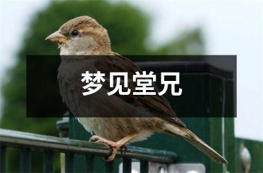 <h3>梦见堂兄