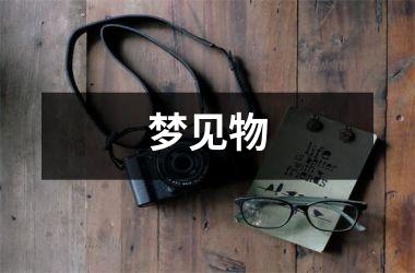 <h3>梦见物