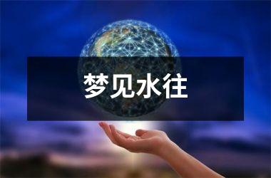 <h3>梦见水往