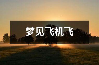 <h3>梦见飞机飞