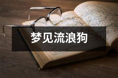 <h3>梦见流浪狗