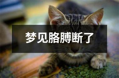 梦见胳膊断了