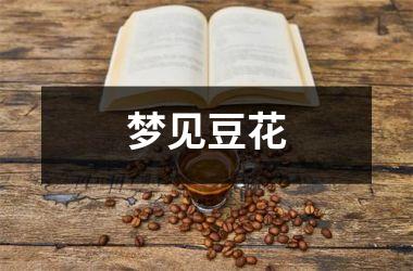 <h3>梦见豆花
