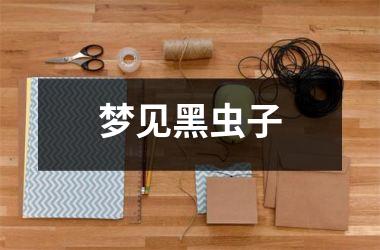 <h3>梦见黑虫子