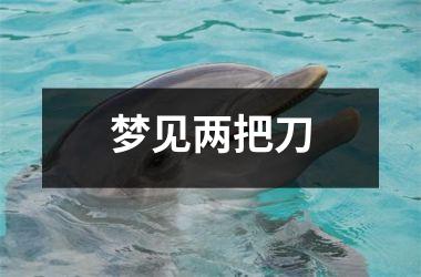 <h3>梦见两把刀