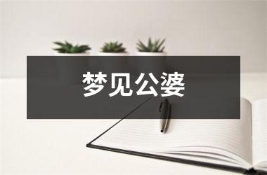 <h3>梦见公婆