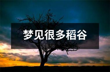 <h3>梦见很多稻谷