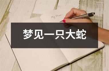 <h3>梦见一只大蛇