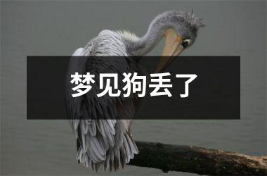 梦见狗丢了