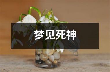 <h3>梦见死神