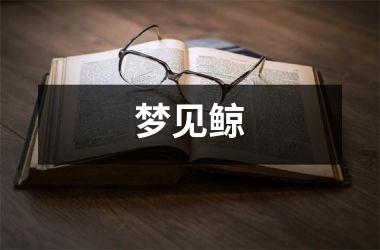 <h3>梦见鲸