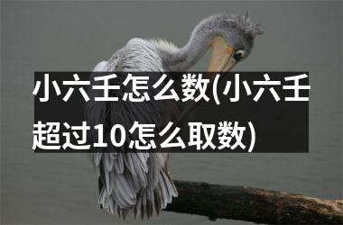 <h3>小六壬怎么数(小六壬超过10怎么取数)