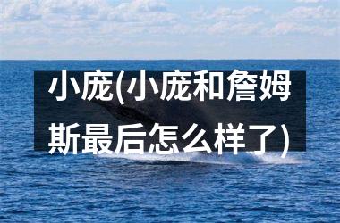 <h3>小庞(小庞和詹姆斯最后怎么样了)