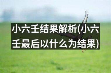 小六壬结果解析(小六壬最后以什么为结果)