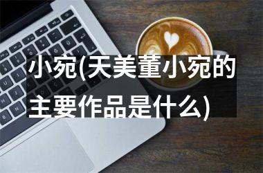 小宛(天美董小宛的主要作品是什么)