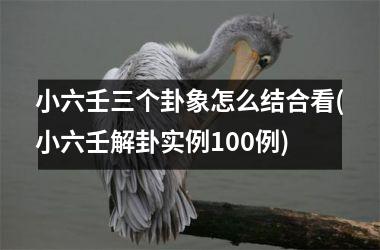 小六壬三个卦象怎么结合看(小六壬解卦实例100例)